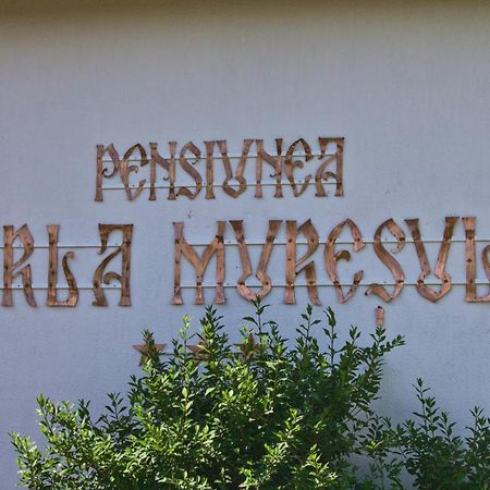 Perla Muresului Alba Iulia Luaran gambar